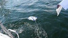 Венок и цветы в память о моряках всех поколений