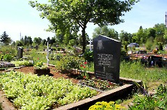 6. Могила Петрова Андрея Юрьевича на кладбище Люганузе. 29.05.2018. Фото Александра Хмырова