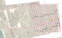 ВАРЕС Урмас Олевович