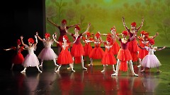 115. Благотворительный балетный гала-концерт в Центре культуры «Мере» 30 ноября 2025 г. Фото- Александр Хмыров