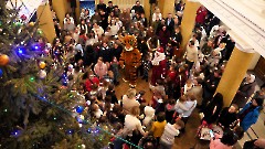 80. Рождественская ёлка в Центре культуры «Мере», 11 января 2026 г. Фото- Александр Хмыров