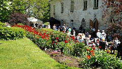 12. Мыза Кирна, 23 мая 2026 г. Фото- Александр Хмыров
